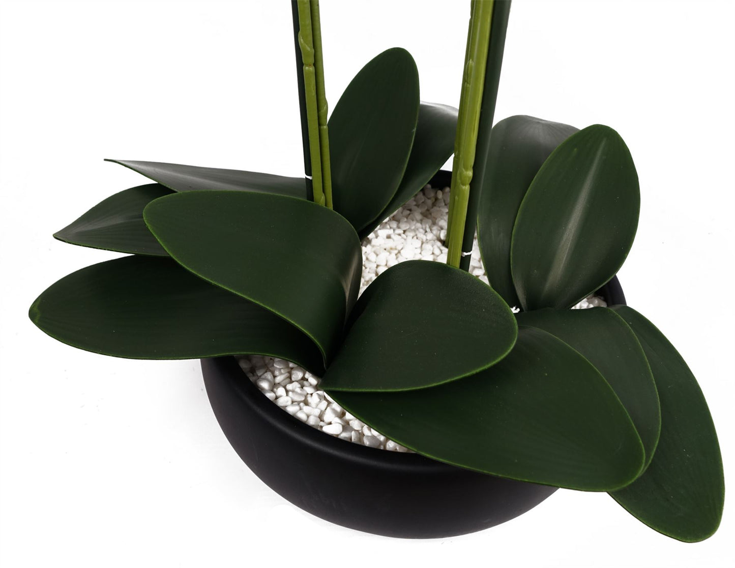 Artificial 60cm Orchid Yellow Black Ceramic Planter – image 6