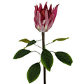 65cm Artificial Protea Sugarbush Flower Stem Pink