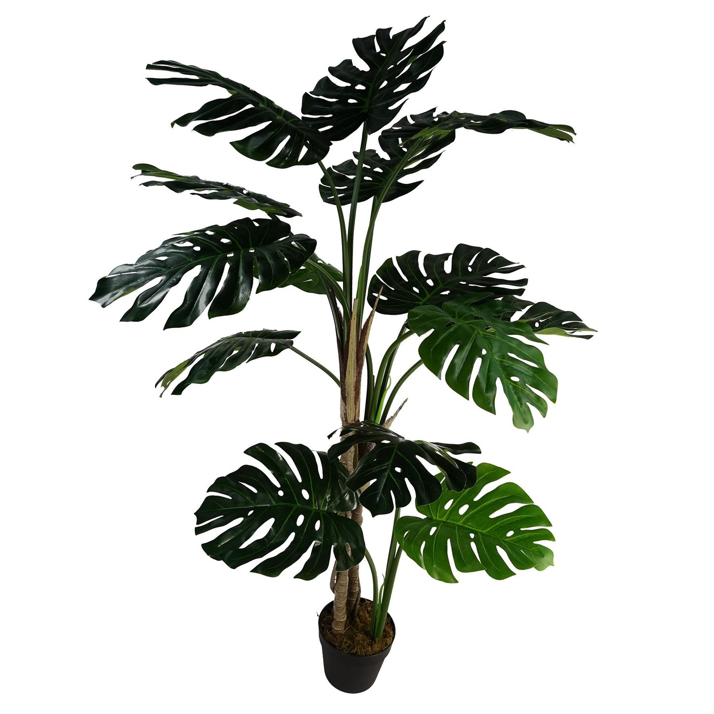 Luxury Monstera Plant Black Pot 150cm Artificial – image 8