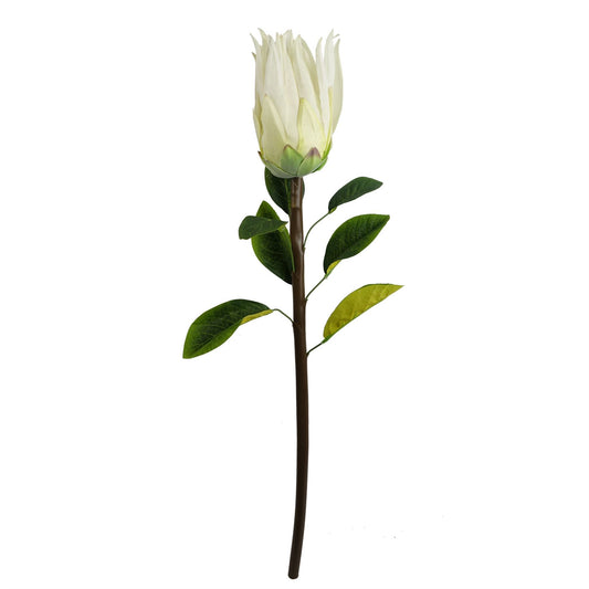 65cm Artificial Protea Sugarbush Flower Stem White – image 2