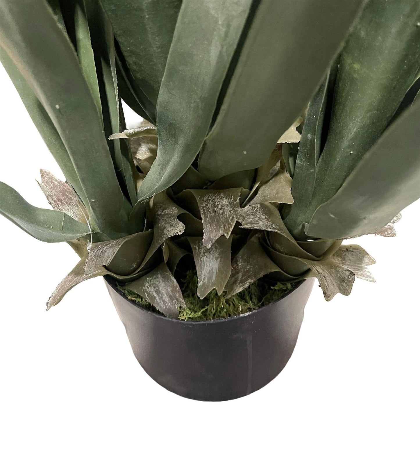 70cm Artificial Yucca Plant – image 4