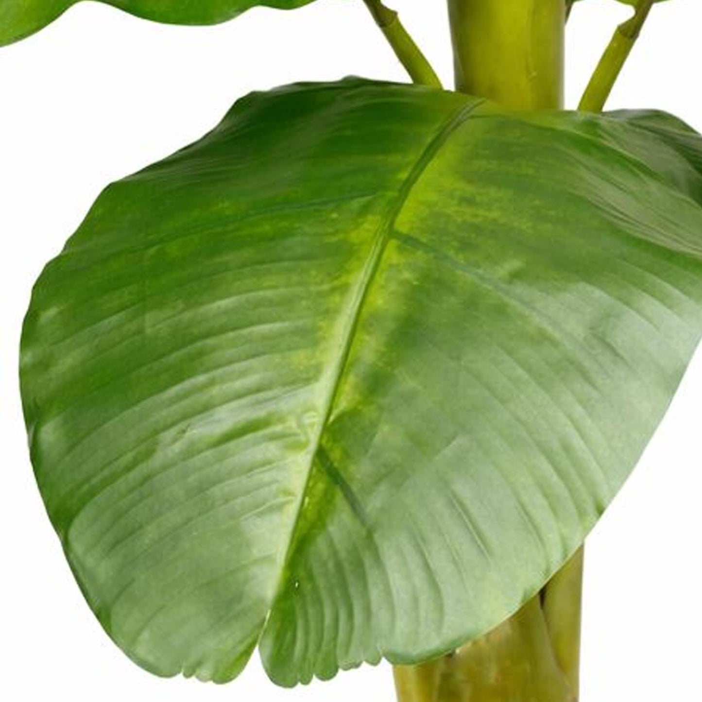 240cm Artificial Large Banana Tree – image 5
