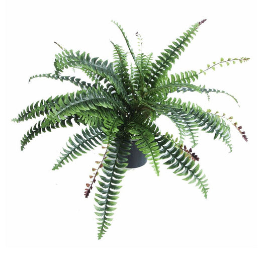 60cm Artificial Boston Fern Plant Boston Fern – image 2