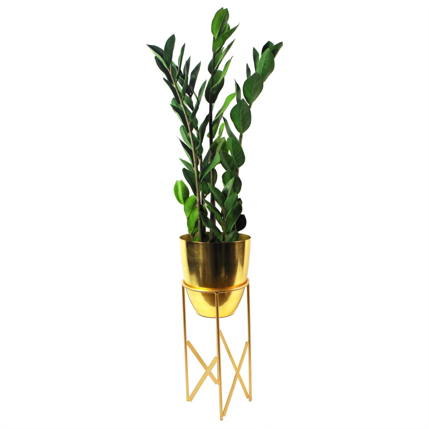 75cm Artificial Zanzibar Green Gem Zamioculcas Succulent Indoor Plant – image 6