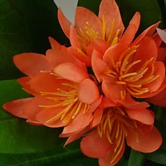 18cm Artificial Freesia Plant Orange Flowering – image 2
