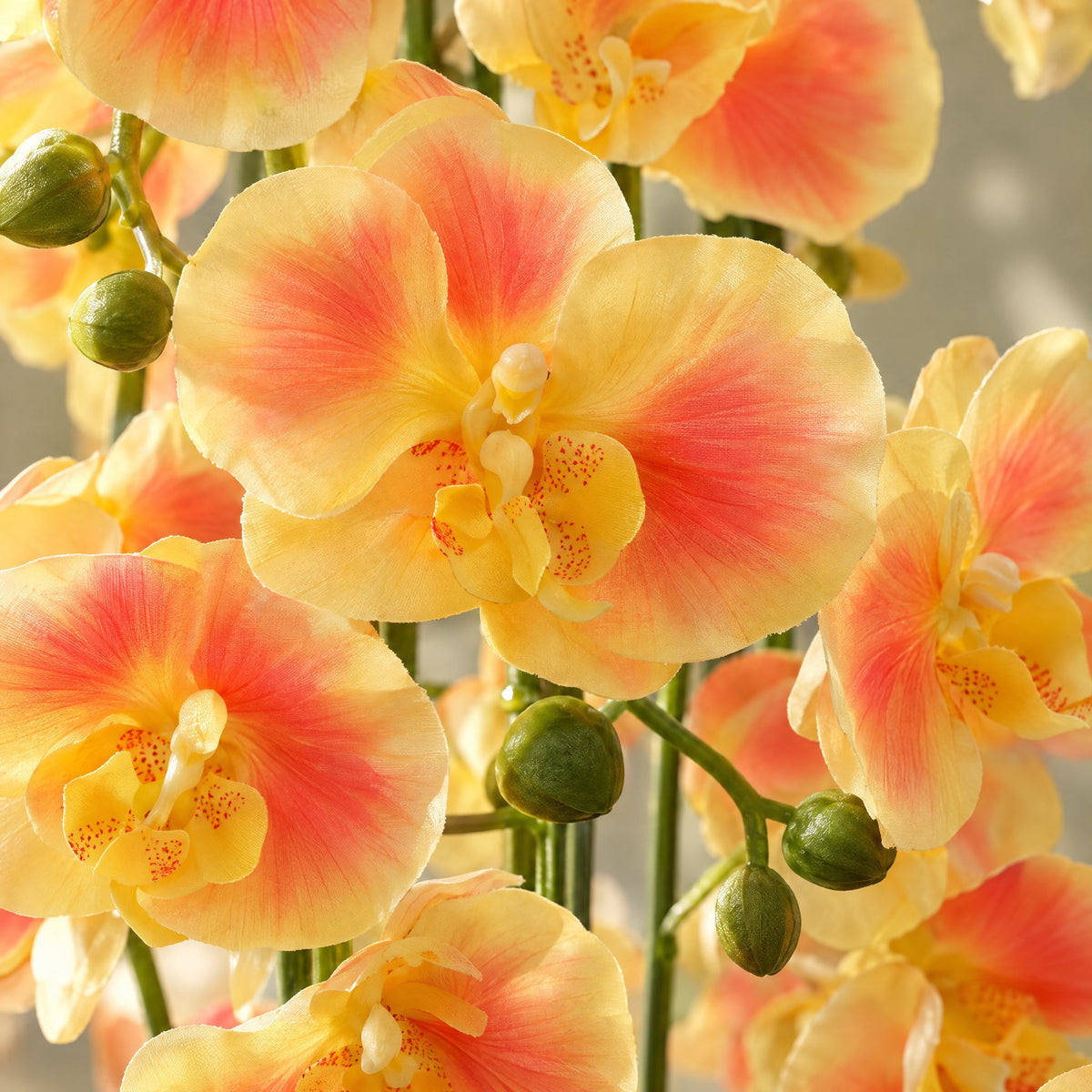 110cm Artificial Yellow Orchid Plant Artifcial REAL TOUCH flowers