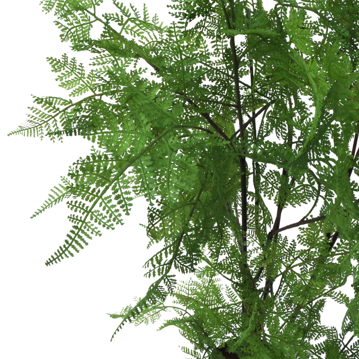 150cm Artificial Moss Base Fern Foliage Plant with Gold Planter – image 8