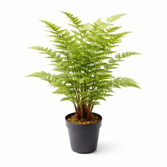 75cm Artificial Fern Plant – image 2