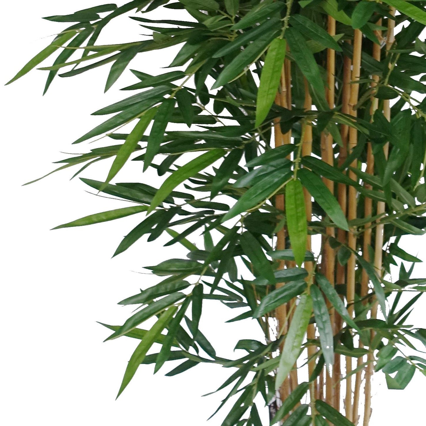 180cm Artificial Premium UV Resistant Bamboo – image 7