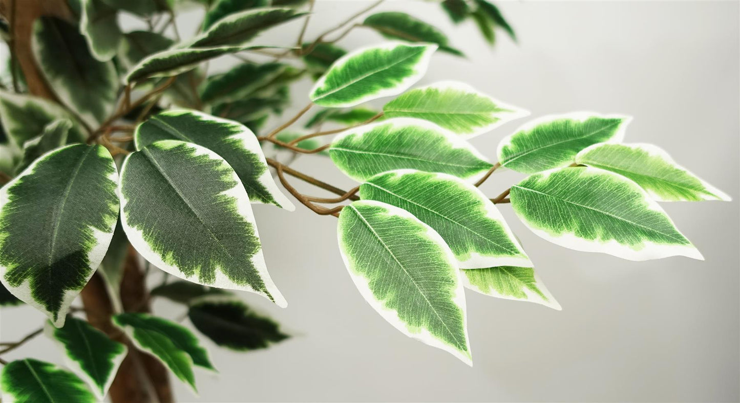 150cm Artificial Ficus Tree 1008 Silk Leaves – image 6