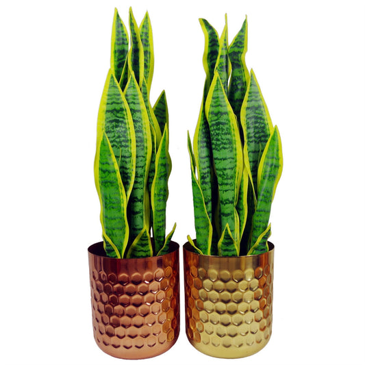 18cm Honeycomb Planter Gold x 15.5cm – image 2