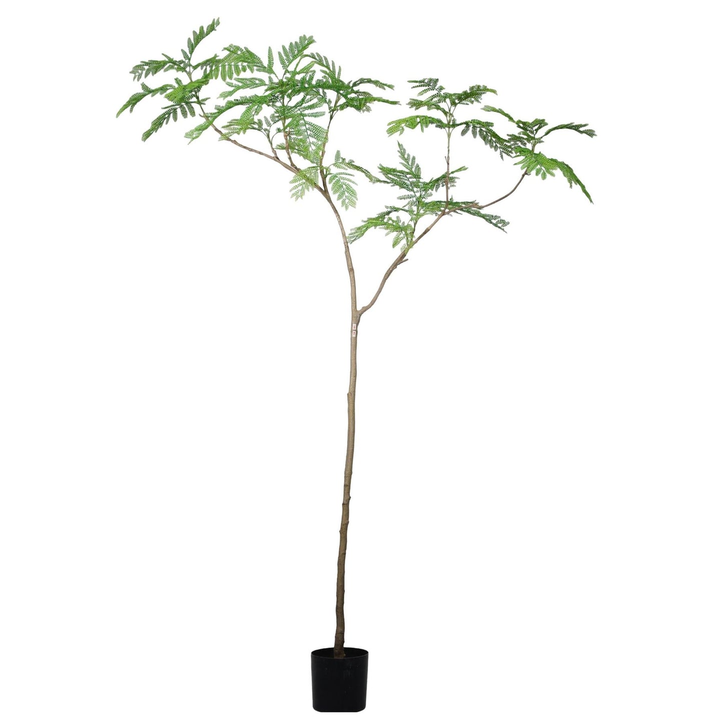 240cm Jacaranda Realistic Artificial Tree – image 3
