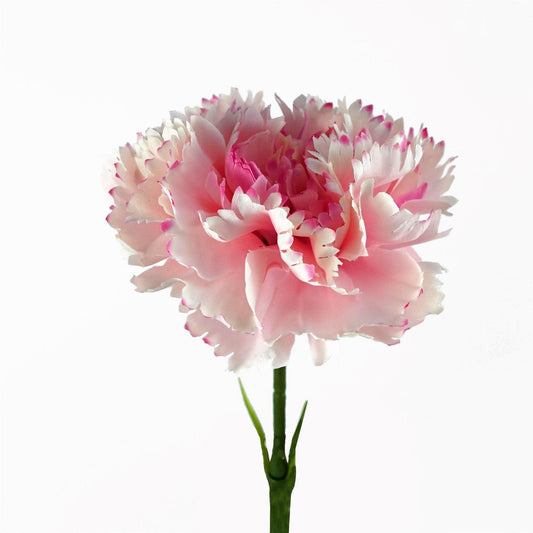 57cm Single Pink Carnation Artificial Flower