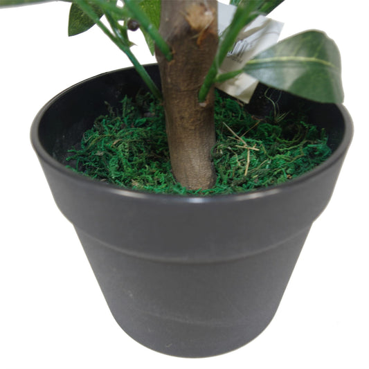 50cm Dwarf Artificial Bay Tree Laurel Topiary Bush – image 2
