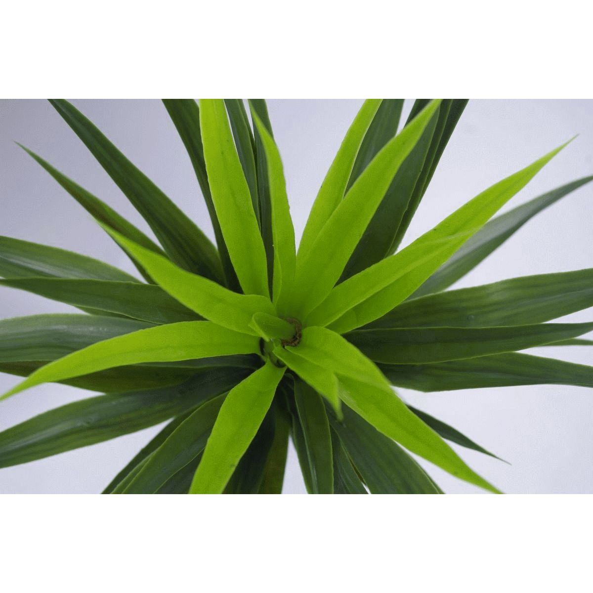 90cm Large Artificial Yukka Plant Spiky Tree Plant – image 3