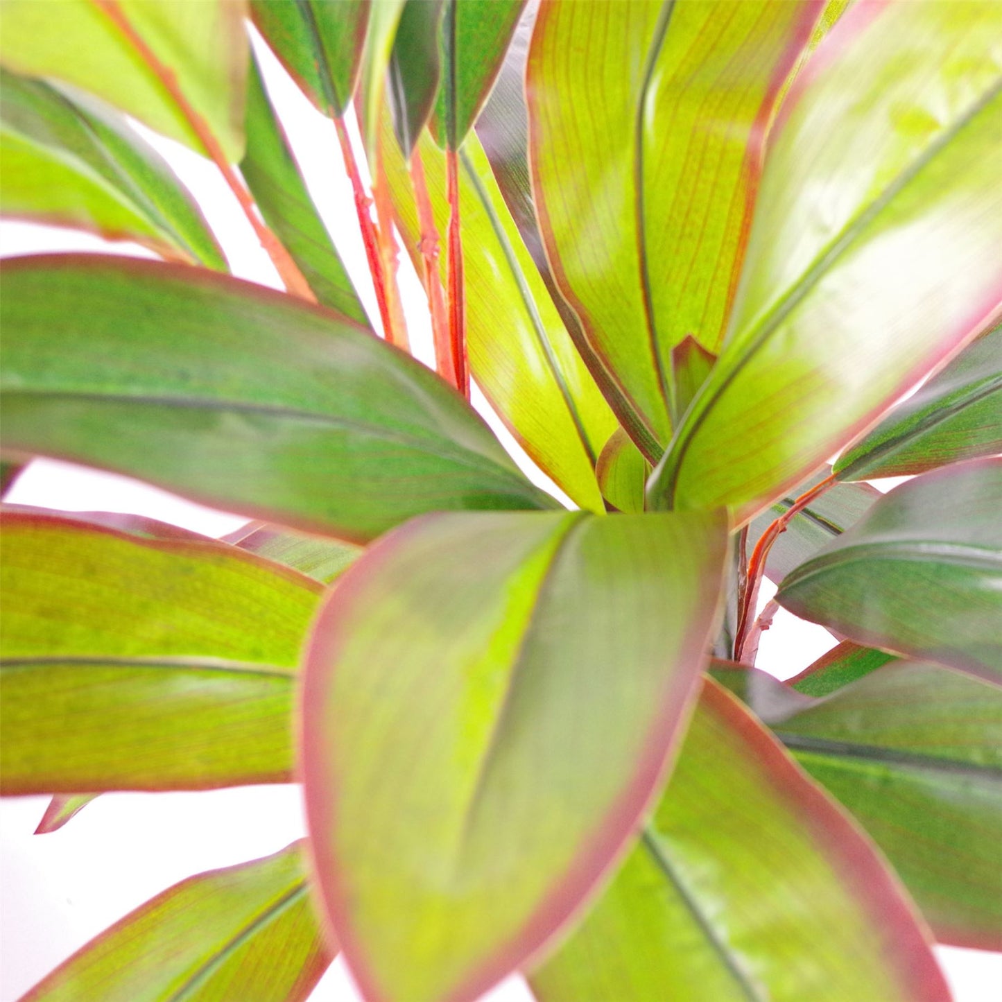 Artificial 100cm Potted Dracaena Tropical Plant – image 4
