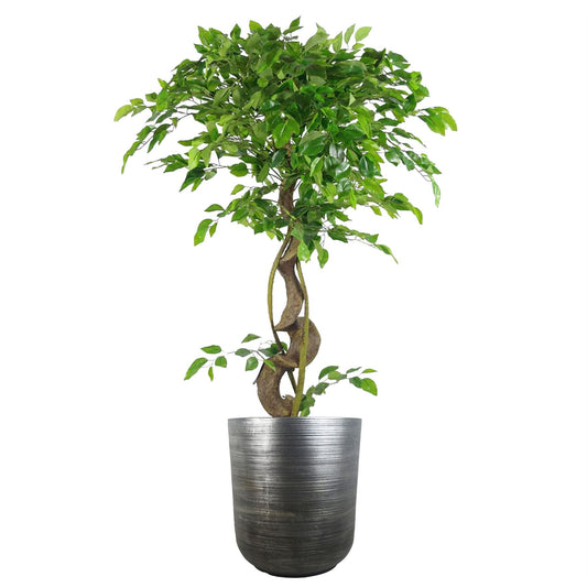 39cm x 33cm Coya Silver Ridged Planter Large Composite Plant Pot – image 2
