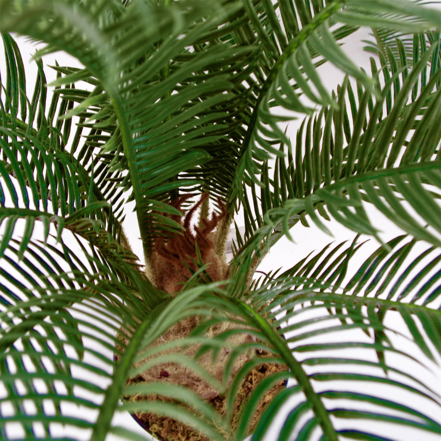 60cm Artificial Tropical Cycas Palm Plant – image 5