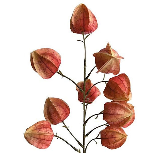 100cm Artificial Orange Chinese Lantern Physalis Spray