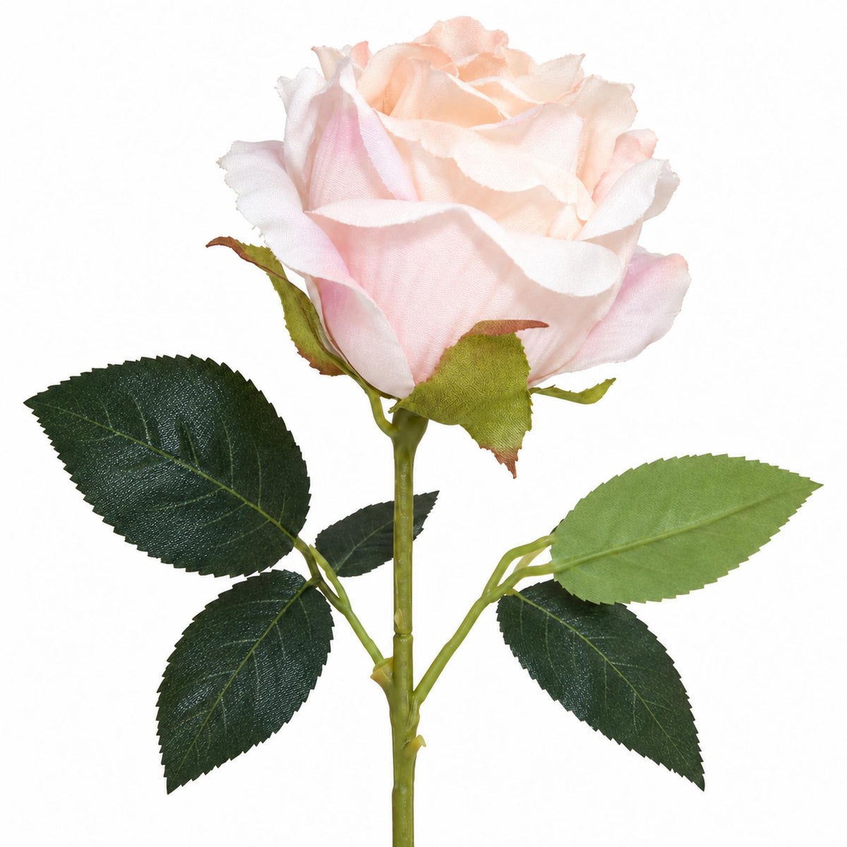 55cm Artificial Light Pink Rose Stem – image 3