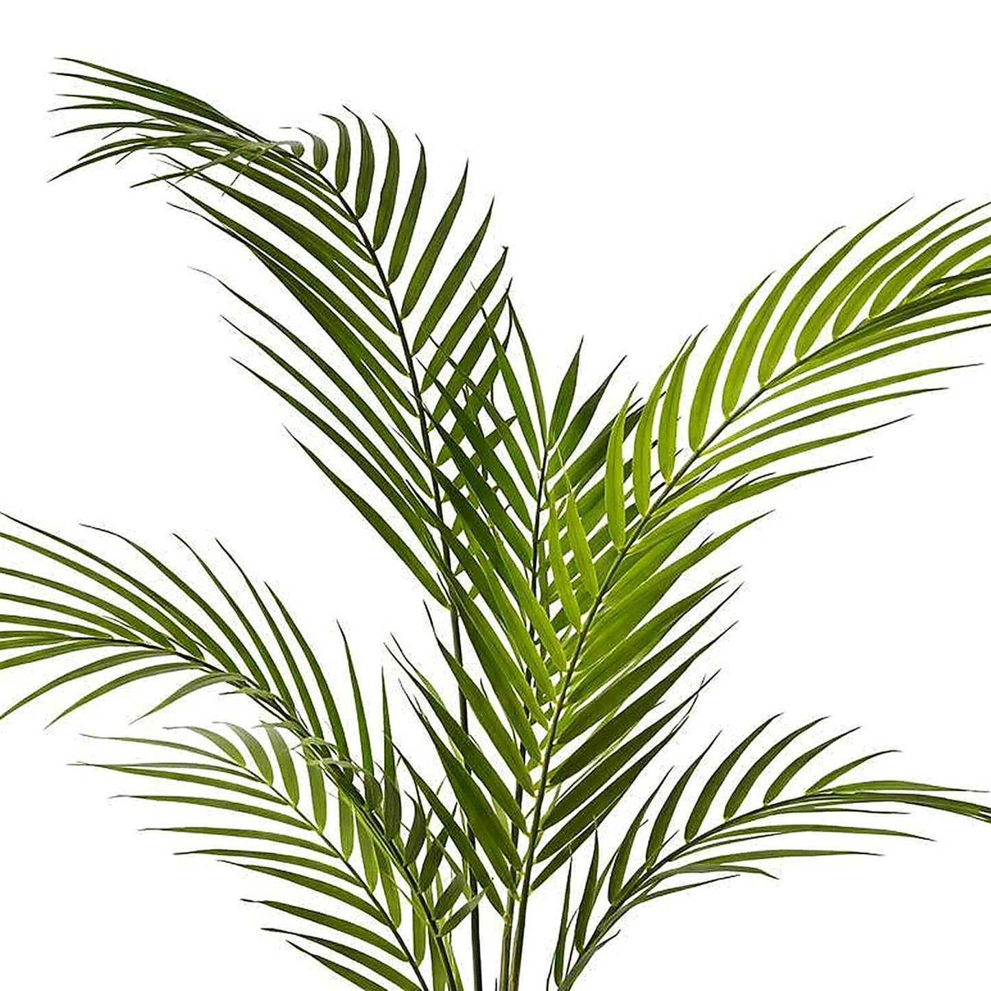 70cm Artificial Areca Palm Tree – image 5