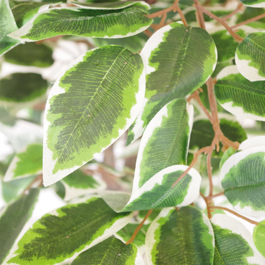 130cm LARGE White Edge Ficus Artificial Plant Tree Gold Planter – image 2