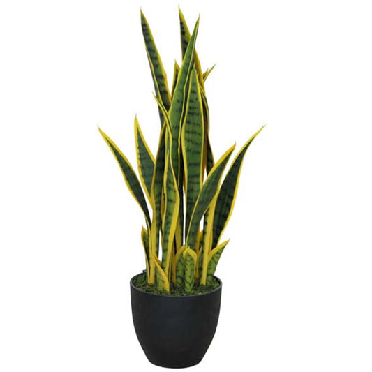 70cm Artificial Sansevieria with pot – image 2