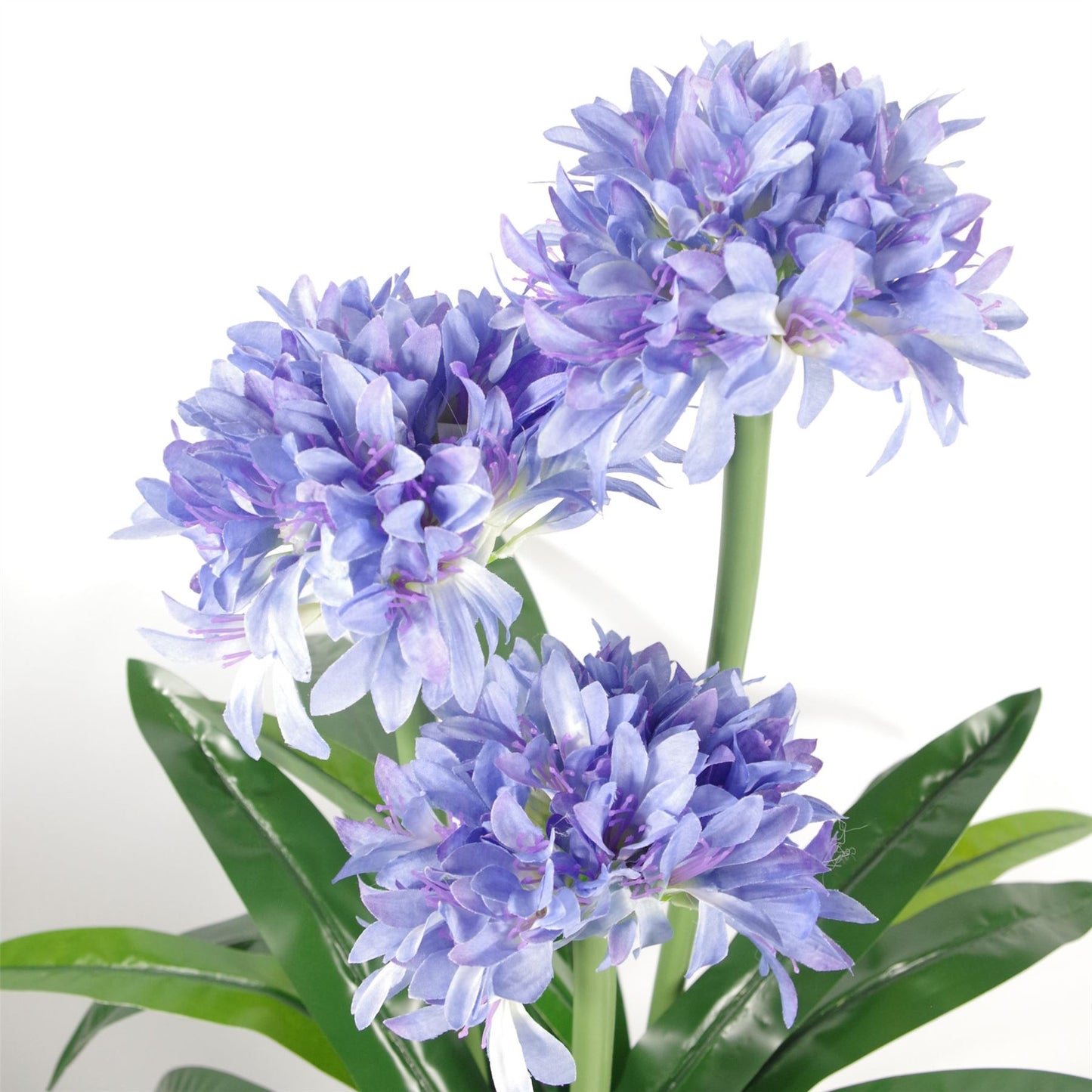 90cm Premium Artificial Agapanthus with pot BLUE – image 3