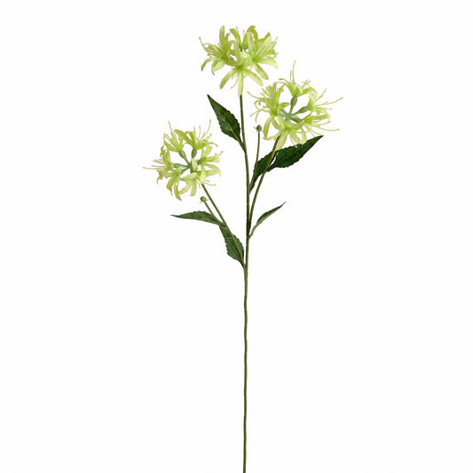 72cm Artificial Lime Green Spider Lily Stem