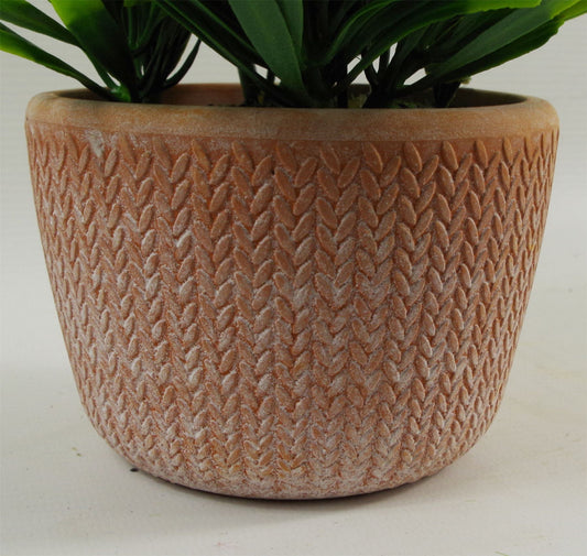 22cm Artificial Honey Plant Light Green in Terracotta Pot – image 2