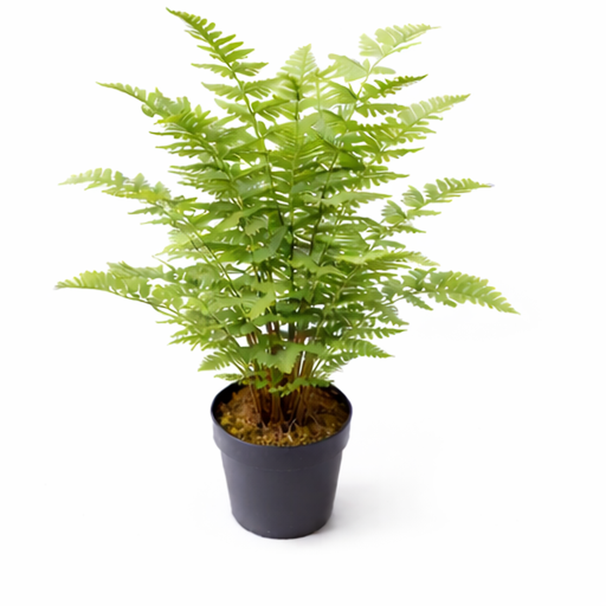 75cm Artificial Fern Plant – image 6