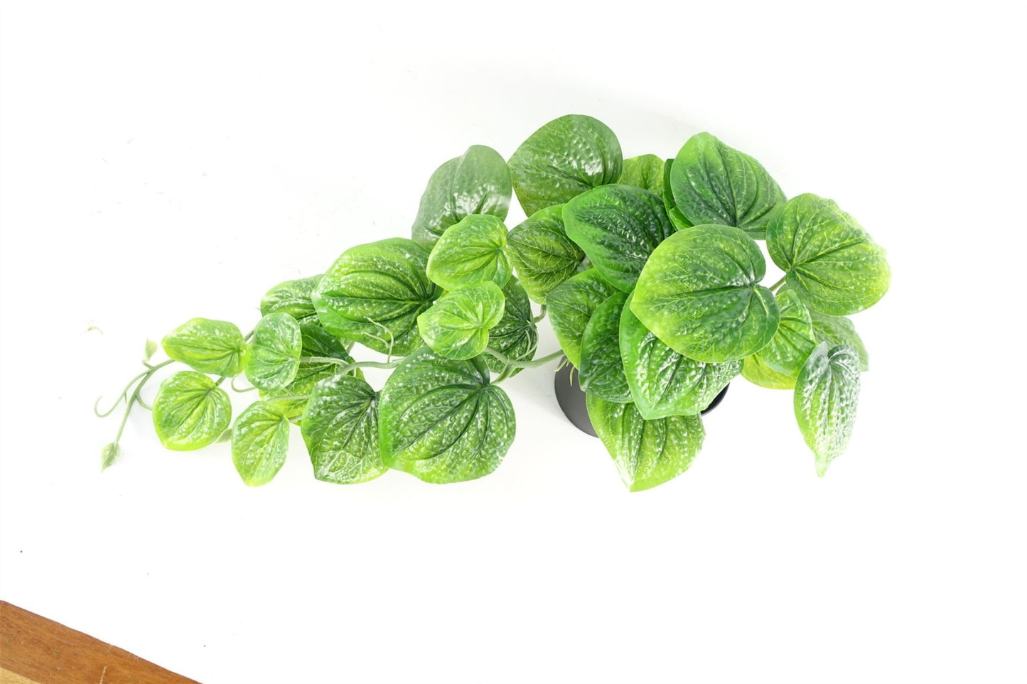35cm Artificial Trailing Green Potted Pothos Plant – image 5
