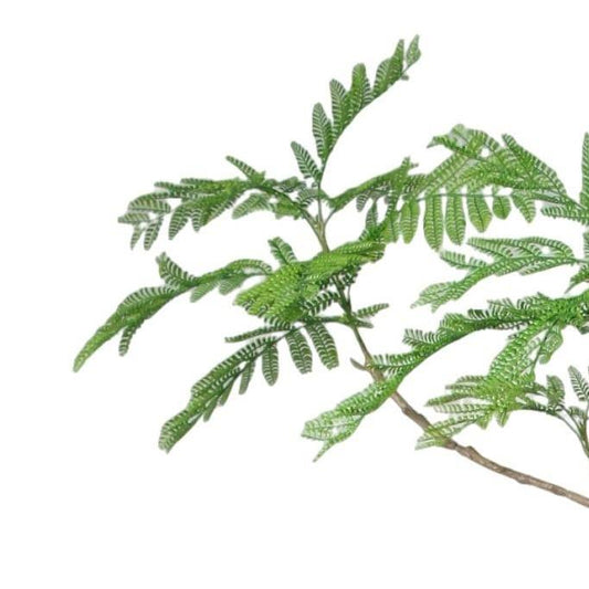 240cm Jacaranda Realistic Artificial Tree – image 2