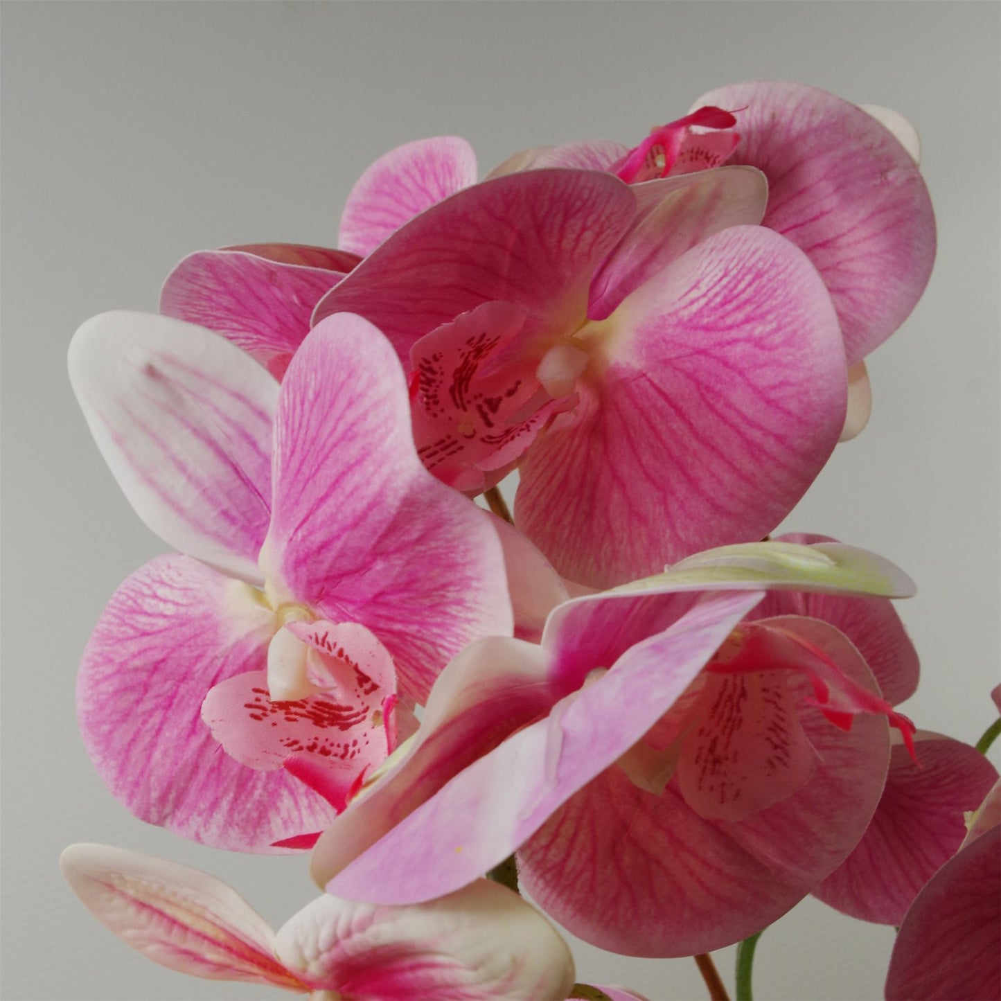 70cm Artificial Orchid Light Pink with Black Ceramic Planter – image 5