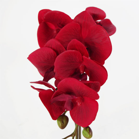 46cm Artificial Orchid Red with Silver Pot – image 2