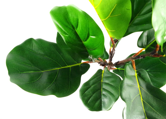 60cm Artificial Fiddle Fig Plant – image 2