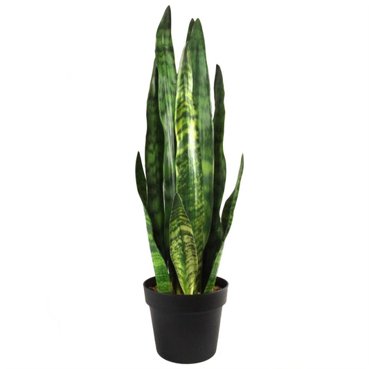 Artificial 70cm Sansevieria Zeylanica Plant – image 2