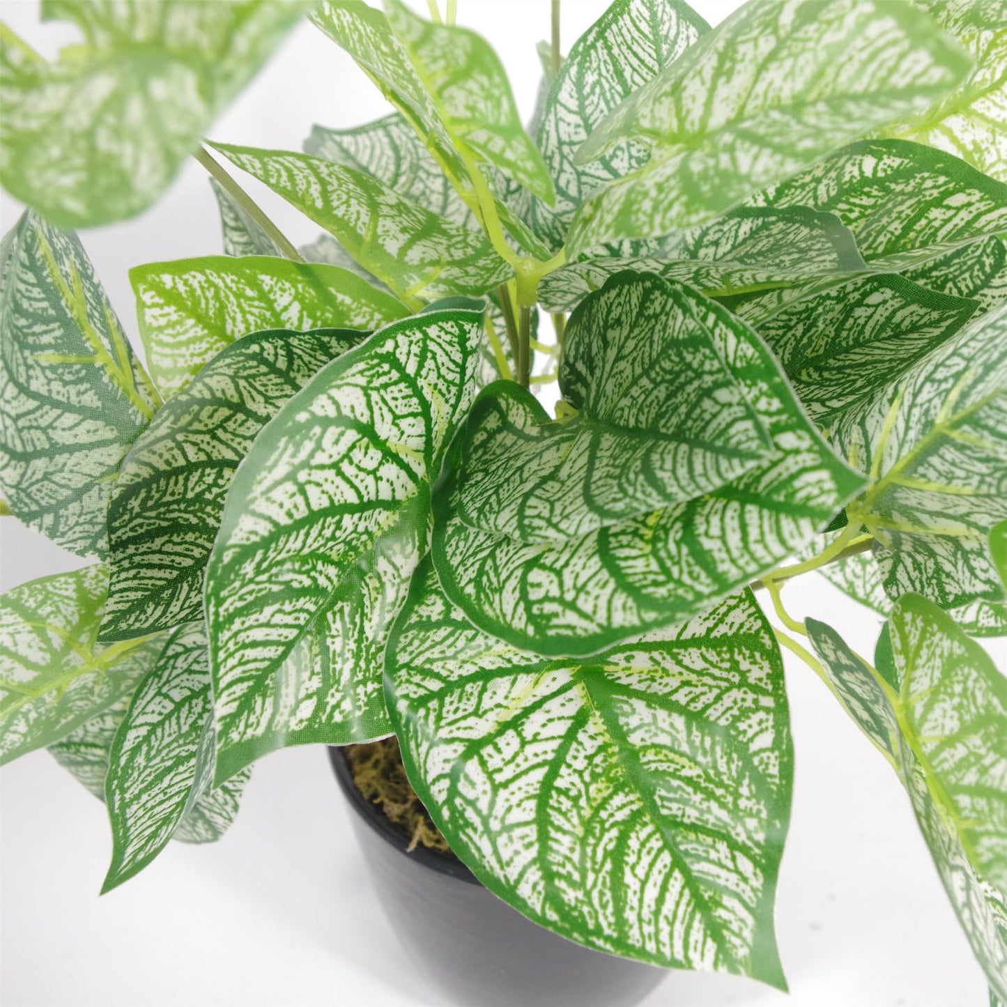 Artificial Caladium Plant with pot 40cm – image 2