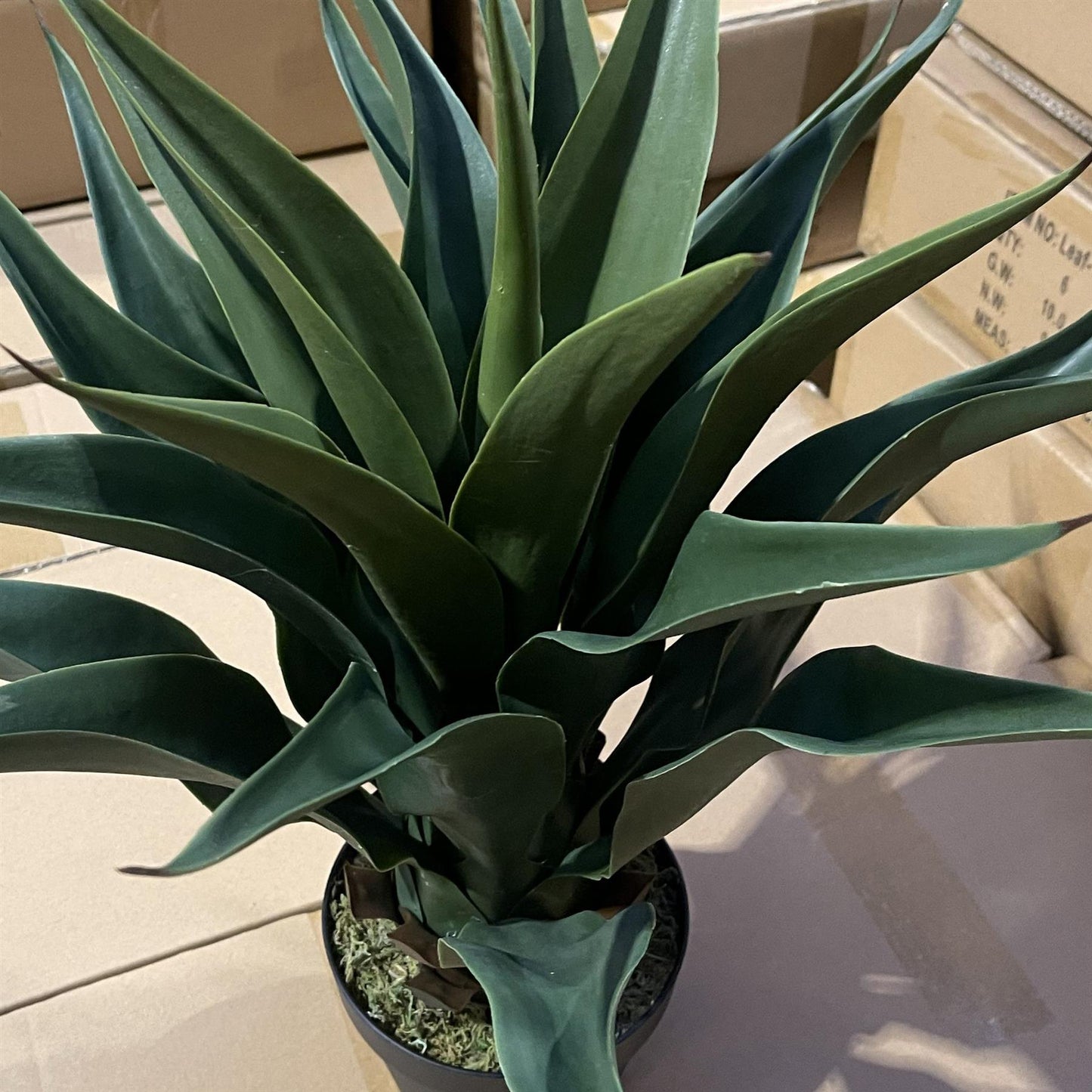 60cm Deluxe Yukka Artificial – image 4