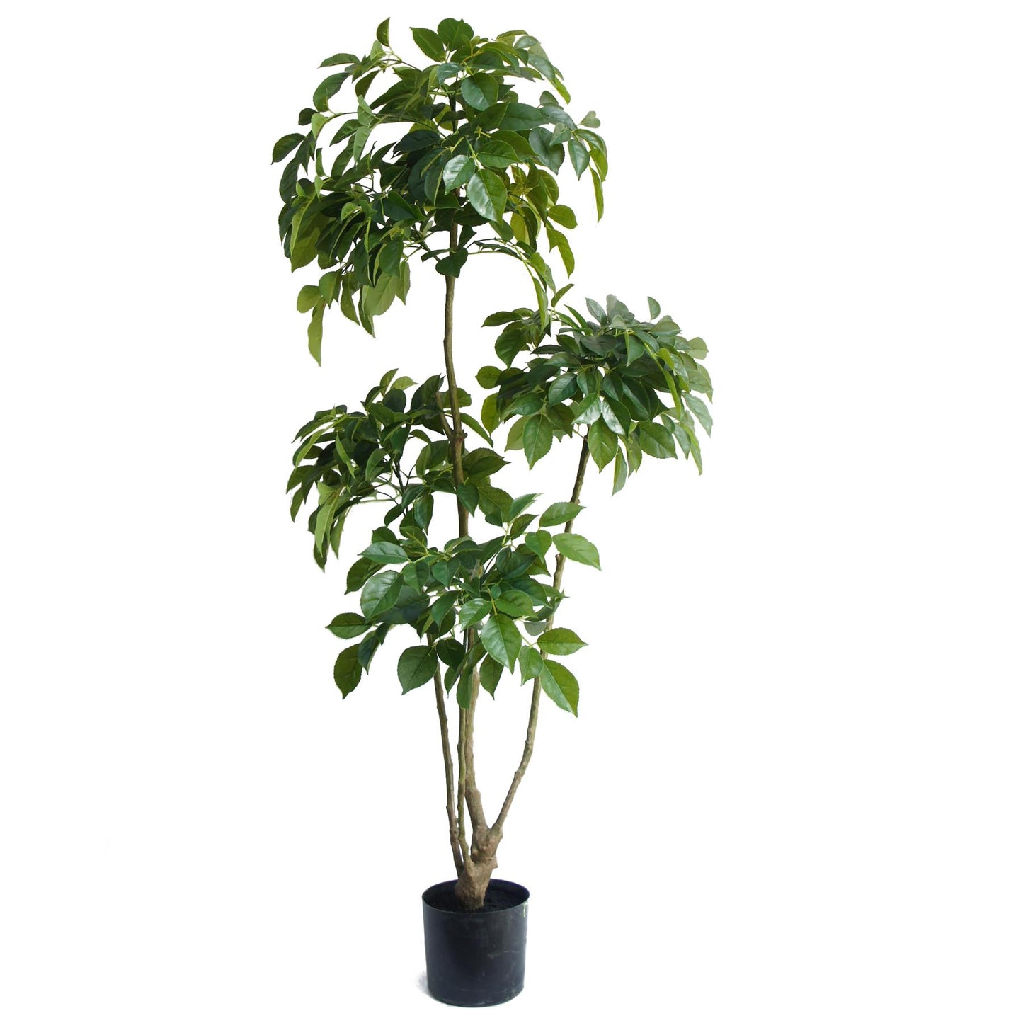 150cm Radermachera Realistic Artificial Tree – image 3