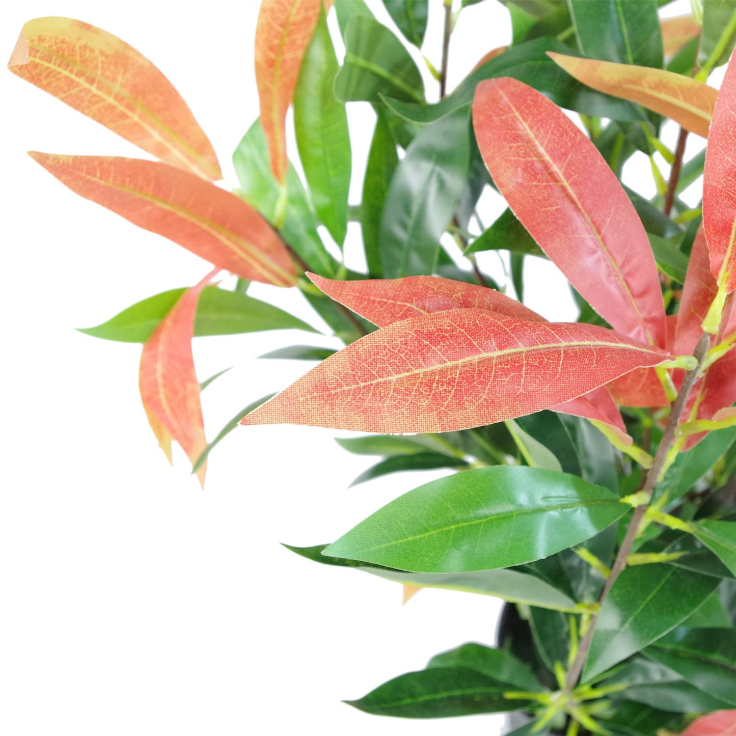 80cm Artificial Red and Green Ficus Plant – image 4