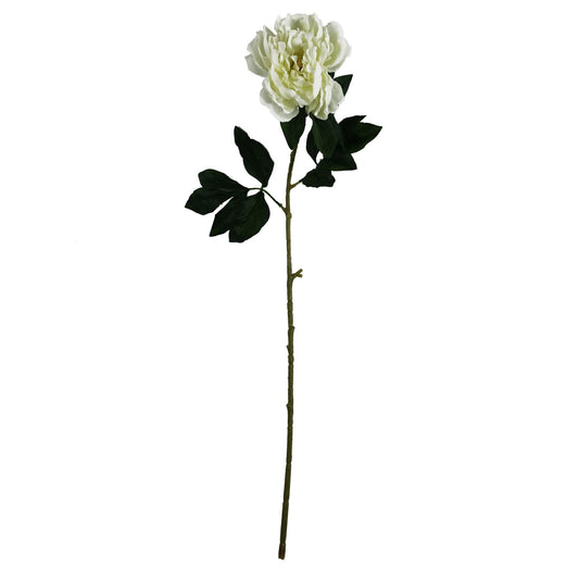 80cm Artificial Cream Peony Stem – image 2