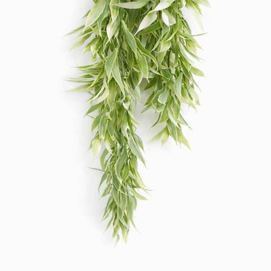 80cm Artificial Italian Ruscus Hanging Plant with Foliage Light Green – image 2
