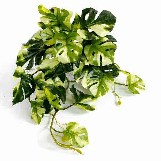 25cm Artificial Trailing Variegated Monstera Vine Plant