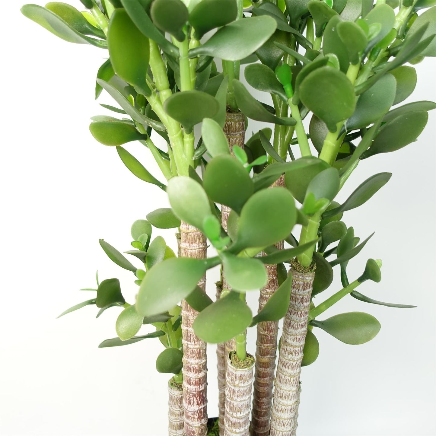 Faux Deluxe 75cm Artificial Green Jade Plant – image 6
