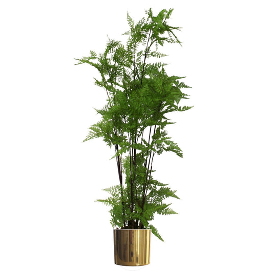 150cm Artificial Moss Base Fern Foliage Plant with Gold Planter – image 2