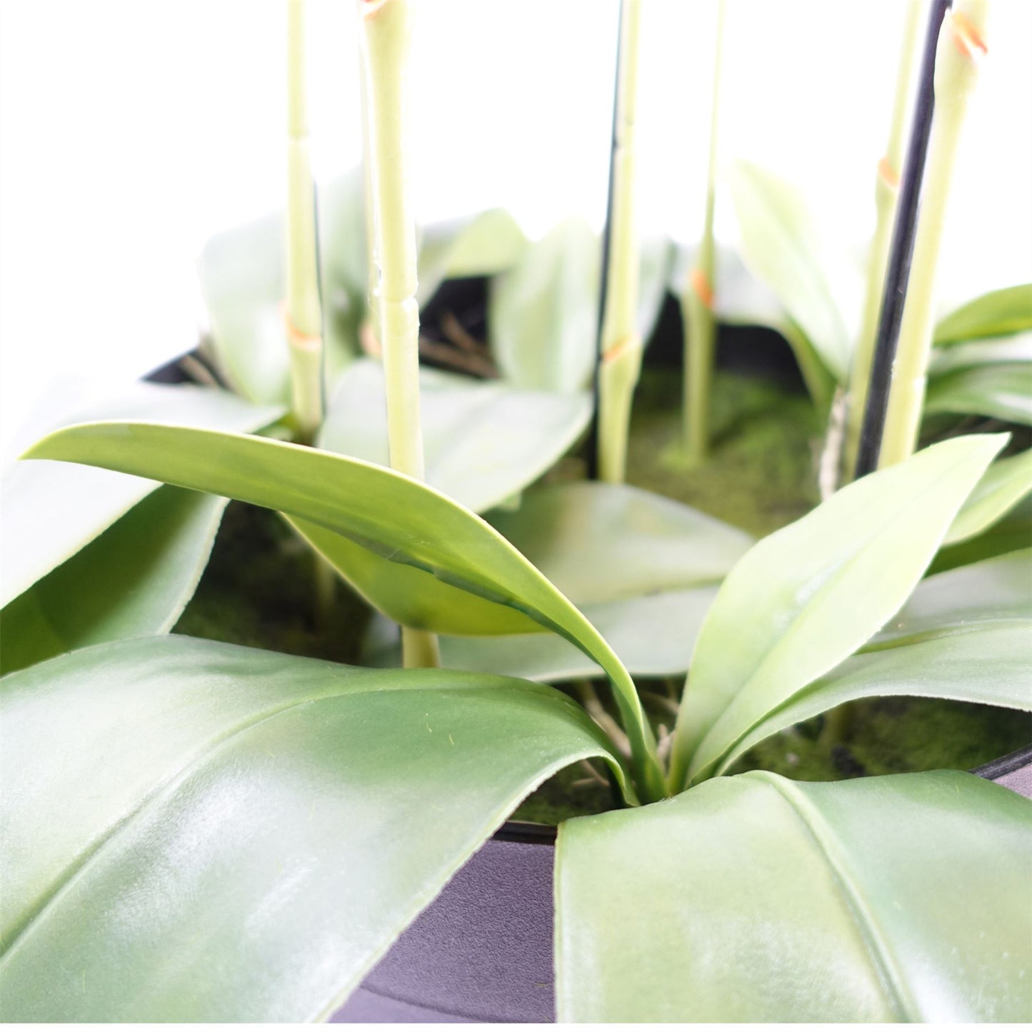 150cm Giant Pink Orchid Plant Artificial 189 flowers REAL TOUCH – image 5