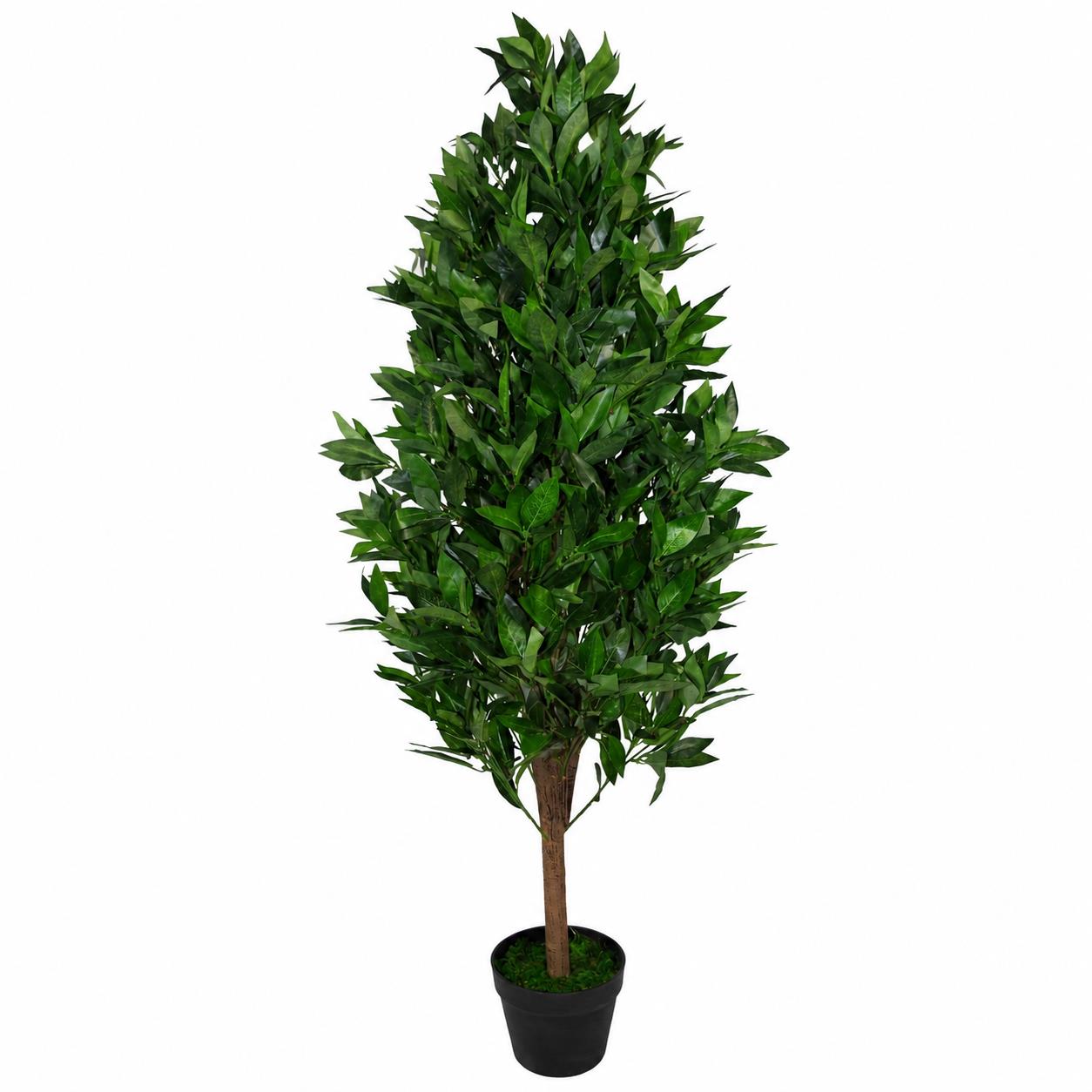 Pair of 120cm Artificial Topiary Bay Trees Pyramid Cones Extra Large – image 6