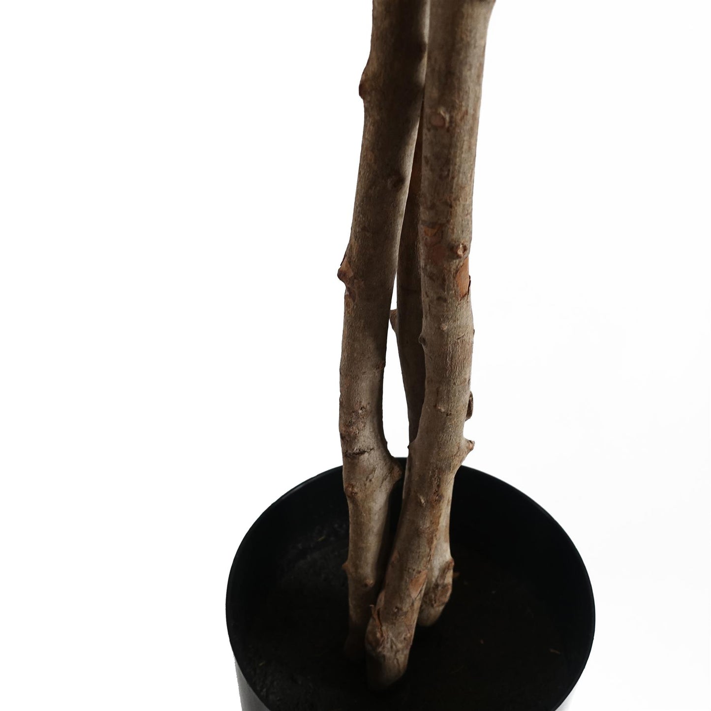 150cm Artificial Forsythia Tree – image 4