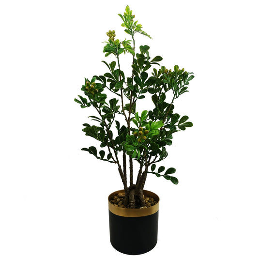 60cm Artificial Aglaia Odorata Bonsai Ficus Tree – image 2